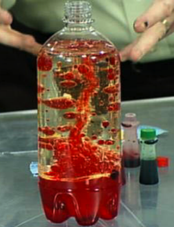 ids science experiment - lava lamp