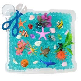 Ocean Discovery Sensory Box