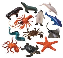 ocean animals